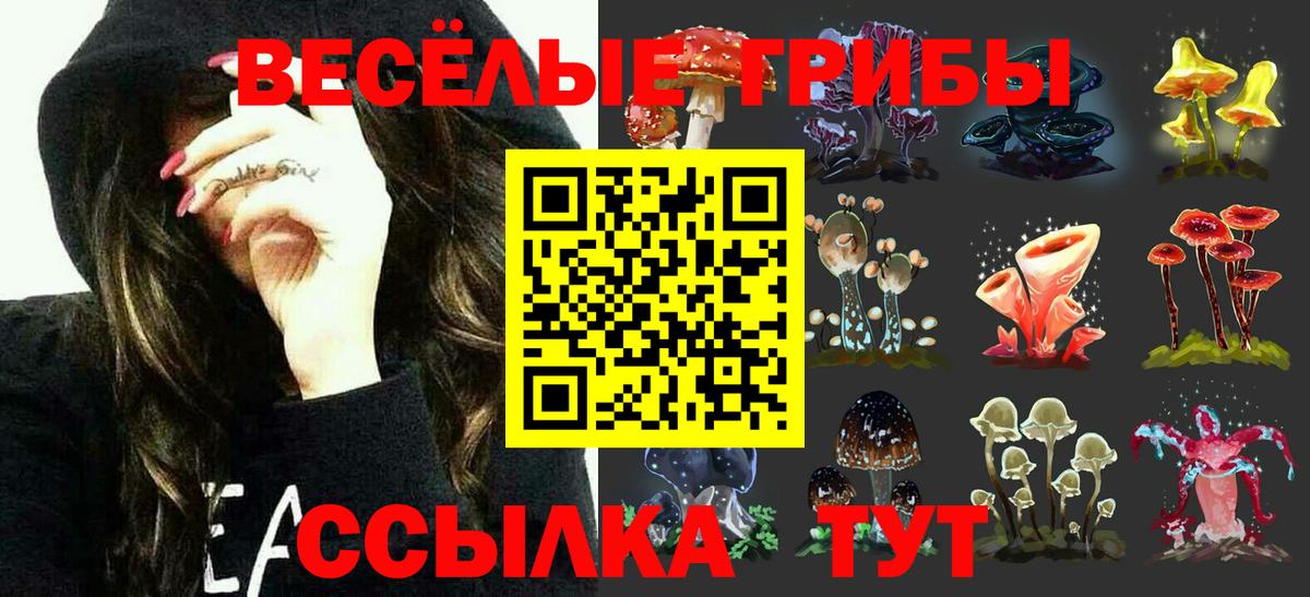 Псилоцибиновые грибы мицелий Ижевск