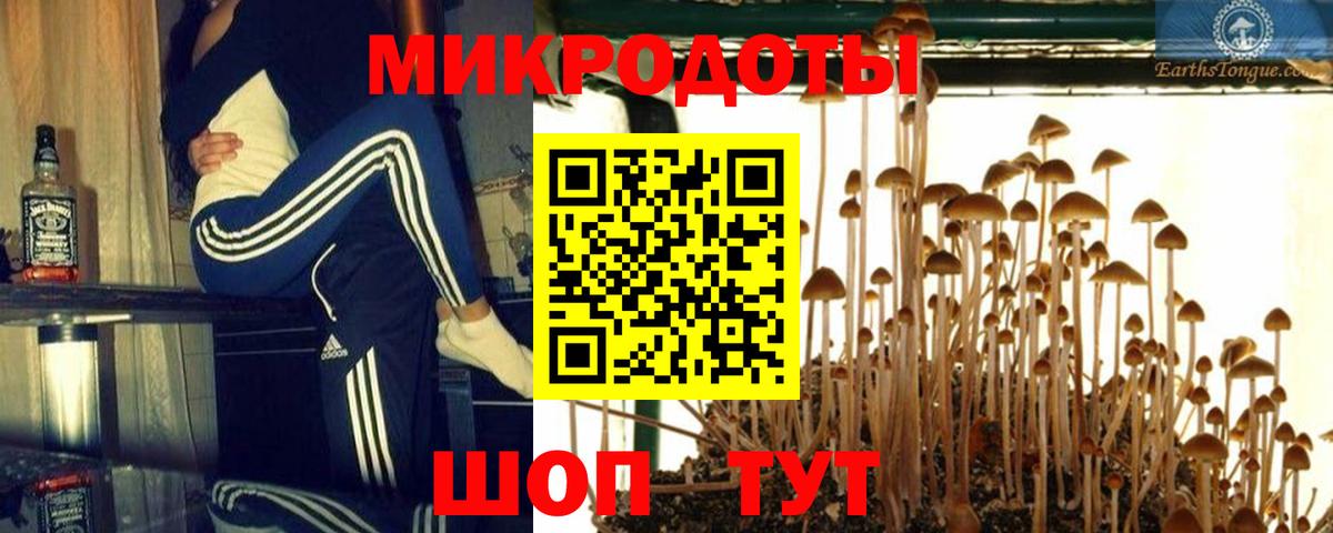 сколько стоит  Псилоцибиновые грибы Psilocybe  Вход с VPN  Ижевск  Псилоцибиновые грибы Psilocybe 